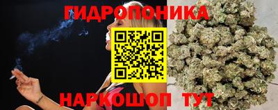тгк Балаково