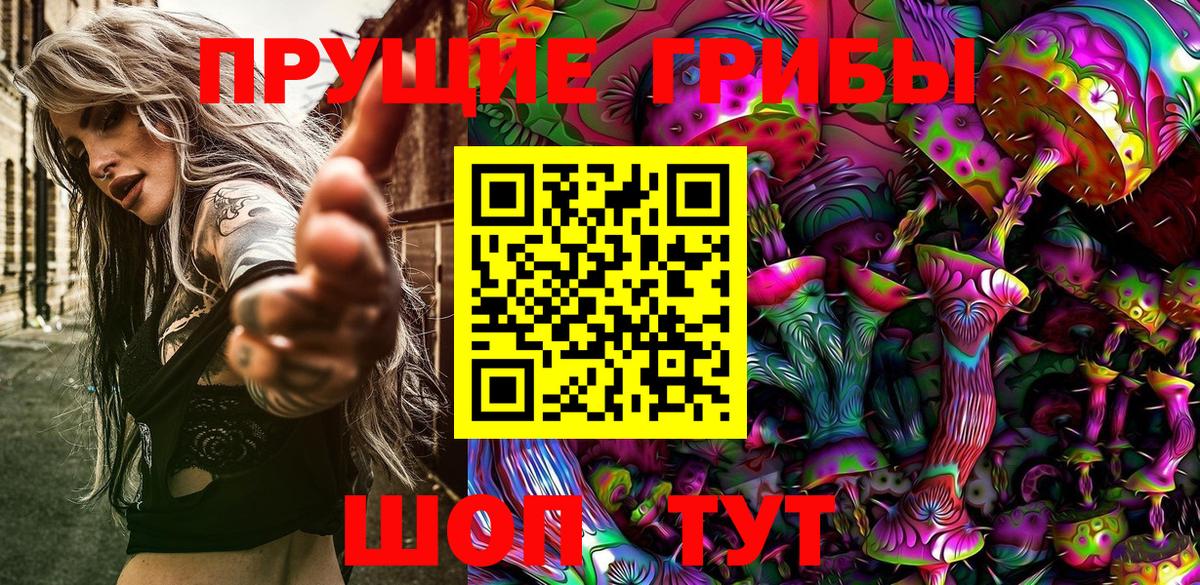 Псилоцибиновые грибы MAGIC MUSHROOMS  Галлюциногенные грибы Cubensis  Вход с VPN  Дербент 