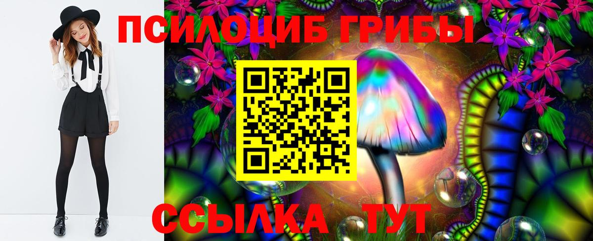 Галлюциногенные грибы Cubensis Дербент